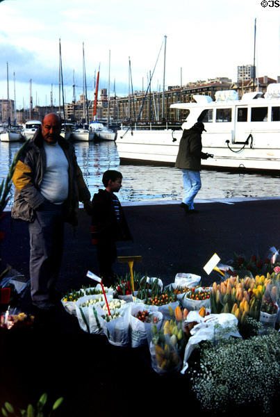 Old port flower stall. Marseille, France.