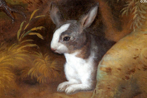Detail of rabbit on Noah's Ark painting (c1710) by Jan Griffier, the Elder at Bristol Museum & Art Gallery. Bristol, England.