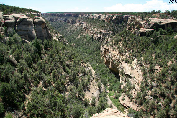 Cliff Canyon along Cliff Palace in Mesa Verde National Park. CO.