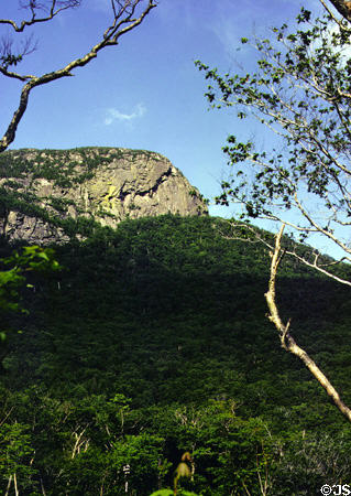 Forest covered mountains of Franconia Notch. NH.