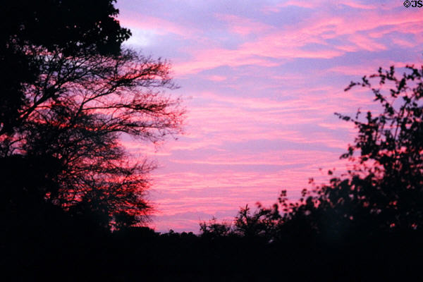 Sunset at Bharatpur. India.