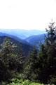 Black Forest view with hills in background. Germany.