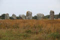 Menhirs standing in meadow. Carnac, France.