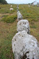 Long alignment of menhirs. Carnac, France.