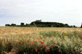 Meadow with chapel of Saint-Michel Tumulus in distance. Carnac, France.