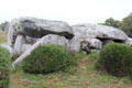 Dolmen at Kermario Alignments. Carnac, France.
