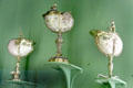 Nautilus shells in silver mounts from Nuremberg , Augsburg & perhaps Antwerp at Ashmolean Museum. Oxford, England.