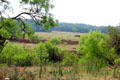 Landscape around at Fort Martin Scott. Fredericksburg, TX.